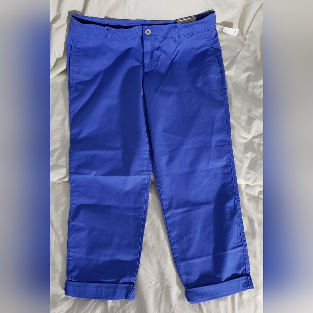 GAP Blue Lagoon Vintage Rolled Crop Pants - 12 Regular